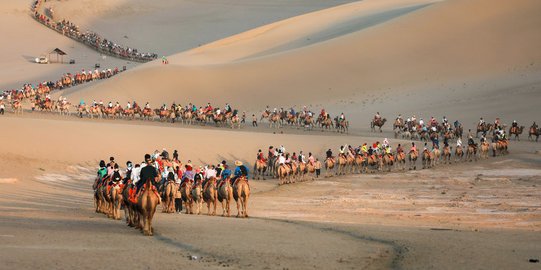 Menjelajahi Keindahan Padang Pasir China dengan Unta