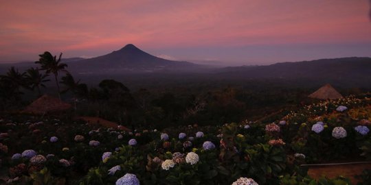 Sejuknya Puncak Tetetana di Kumelembuai Tomohon