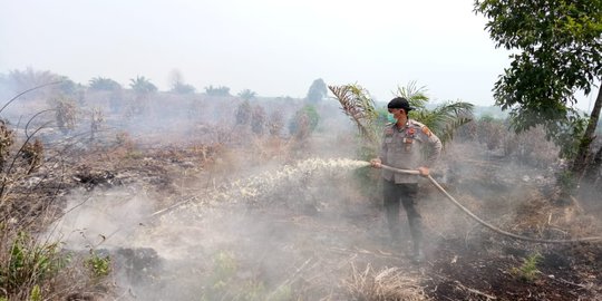 Polda Jambi Segera Periksa Seluruh Perusahaan yang Lahannya Terbakar