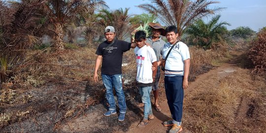 Polisi Tangkap Pelaku Pembakaran Lahan di Bengkalis