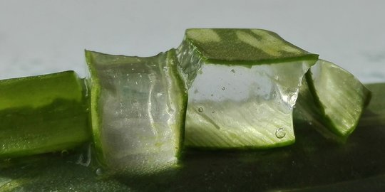 5 bahan alami yang bisa membantu menghilangkan bekas jerawat dari wajah