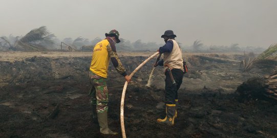 Api Besar Bakar Lahan Gambut di Musi Banyuasin