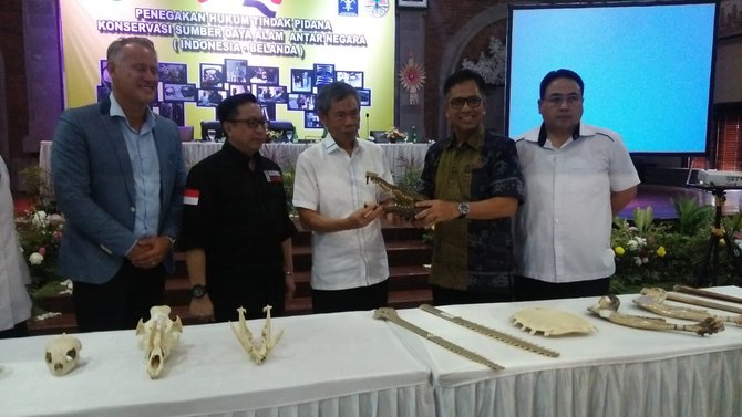 polisi ungkap kasus sindikat perdagangan internasional satwah yang dilindungi