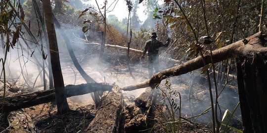 Polda Riau Tetapkan 31 Tersangka Karhutla, Satu Korporasi