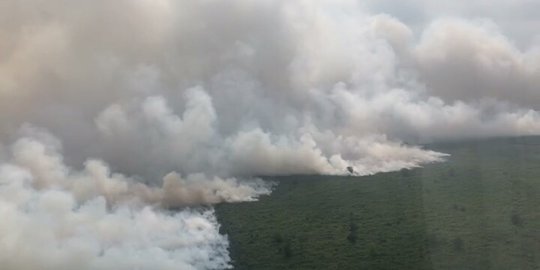 Lahan Terbakar di Musi Banyuasin Diprediksi Ratusan Hektare