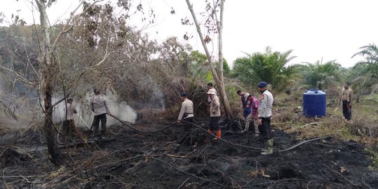 2 Hari Berturut-turut, Kebakaran 10 Hektare Lahan di Rokan Hilir Belum Padam