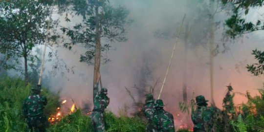 KLHK Segel 10 Lahan Konsesi Terbakar di Kalimantan Barat