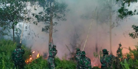 Tersangka Kebakaran Hutan di Kalimantan Barat Bertambah Jadi 30 Orang