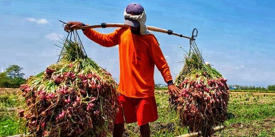 BPS: Upah Riil Petani dan Buruh Turun di Juli 2019