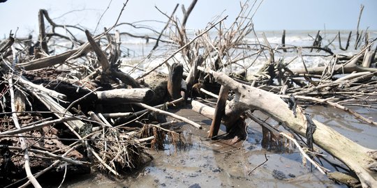 Pertamina Beberkan Progres Pembersihan Laut Karawang Dari Tumpahan Minyak