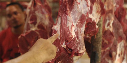 Pemerintah Bakal Impor Daging Sapi 50.000 Ton dari Brasil