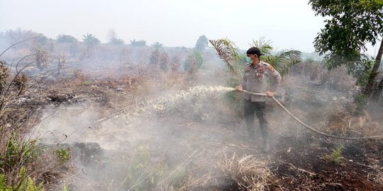 Polisi Tetapkan 3 Tersangka Kasus Kebakaran Lahan di Palangka Raya