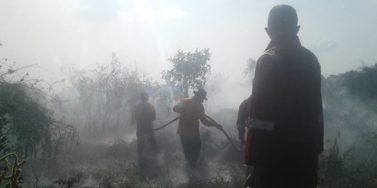 Ratusan Hektare Lahan Terbakar di Musi Banyuasin, Polisi Periksa 9 Saksi