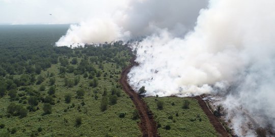 Ditiup Angin Kencang, Kebakaran Lahan di Musi Banyuasin Lompati Sekat Bakar