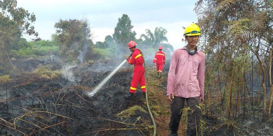 APP Sinar Mas Terjunkan 7 Regu dan Heli Super Puma Padamkan Kebakaran di Pelalawan