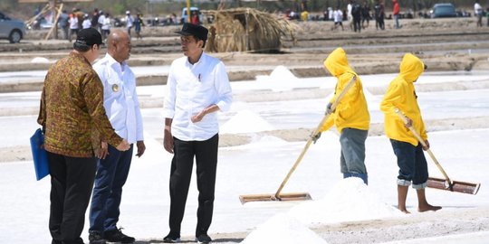 Tinjau Tambak, Jokowi Sebut Kualitas Garam Kupang Timur Lebih Bagus dari Australia