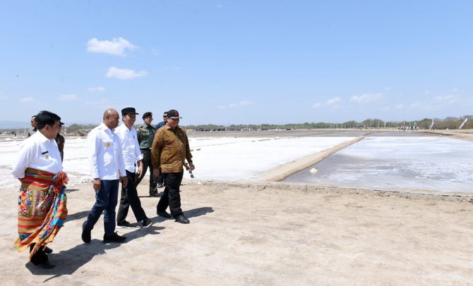 presiden tinjau tambak garam