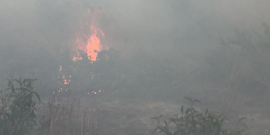 90 Hektare Lahan di 8 Kabupaten se-Riau Hangus Terbakar