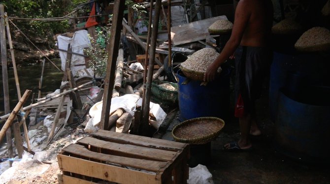 bisnis tempe di bantaran ciliwung