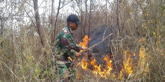 15 Hektare Kawasan Gunung Guntur Garut Terbakar