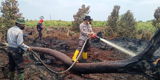 Dua Helikopter Mengudara Padamkan Kebakaran 30 Hektare Lahan di Indragiri Hulu