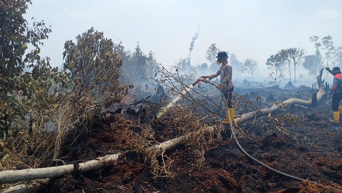 kebakaran 30 hektare lahan di indragiri hulu