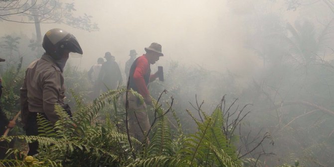Anggota Manggala Agni Tewas Tertimpa Pohon Saat Padamkan Api di Tahura Senami
