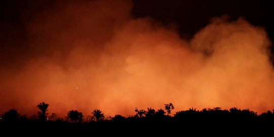 Militer Dikerahkan Untuk Padamkan Kebakaran Hutan Amazon Merdeka Com