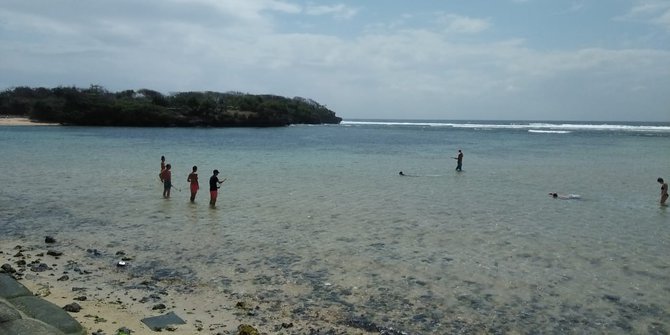 Ketika Kawanan Hiu Blacktip Di Nusa Dua Bali Sedot Perhatian