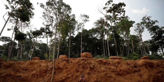 Ini Dampak Kebakaran Hutan Amazon Bagi Dunia