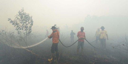 20 Hektare Hutan Lindung Bukit Betabuh di Indragiri Hulu Terbakar