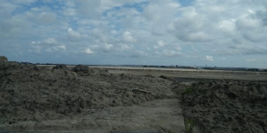 Pelindo III Akui 8 Hektare Kawasan Mangrove di Pelabuhan Benoa Rusak