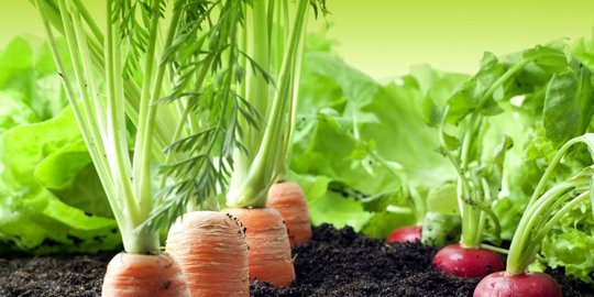 6 cara yang bisa kamu lakukan untuk memanfaatkan susu basi