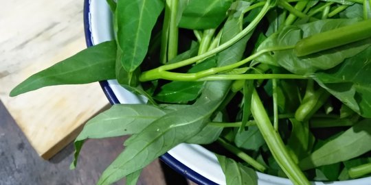 ingin kulit awet muda? santap 6 jenis sayur murah meriah ini secara teratur