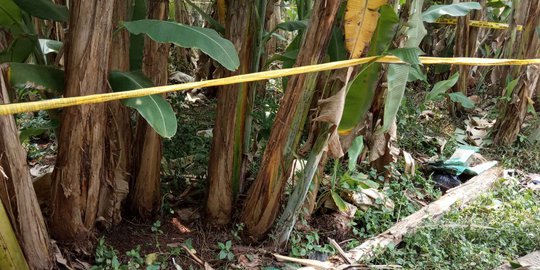 Warga Depok Temukan Mayat dengan Luka Gorok di Kebun Pisang