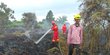 Menteri Siti Nurbaya Sebut Titik Kebakaran Hutan Turun dari 1.100 jadi 320