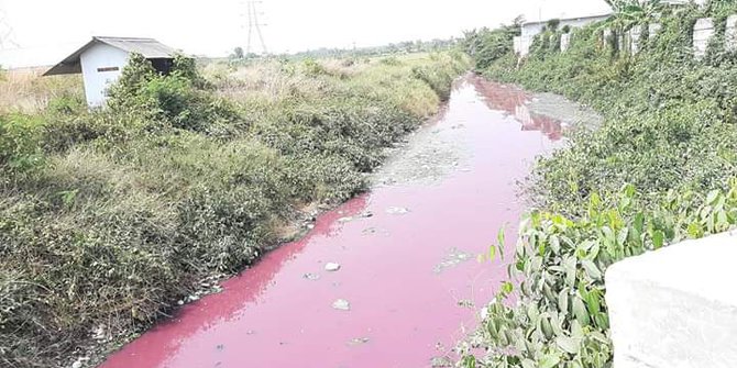 Warga Serang Heboh Lihat Warna Sungai di Kampung Teluk Bako Berubah Merah