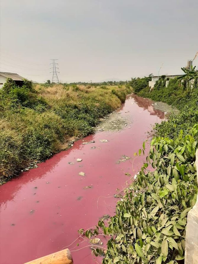 air sungai di kampung teluk bako berubah merah