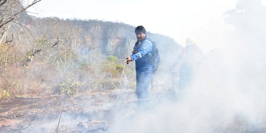 Aksi Presiden Bolivia Turun Tangan Padamkan Kebakaran Hutan