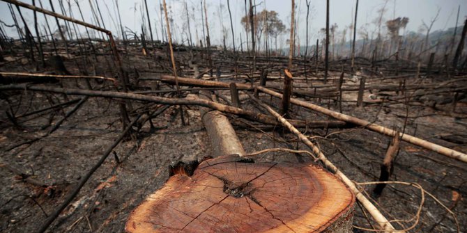 Kebakaran Amazon, Presiden Brasil Larang Pembakaran Lahan Selama 60 Hari