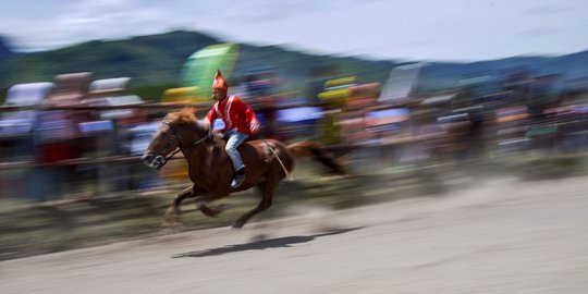 Melihat Keseruan Pacuan Kuda Tradisional di Aceh
