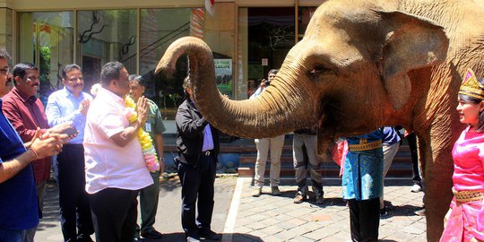 Ingin Bangun Kebun Binatang, India Belajar ke Taman Safari Indonesia