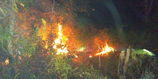 Tiga Hektare Lahan Perkebunan dan Semak di Sepaku Terbakar