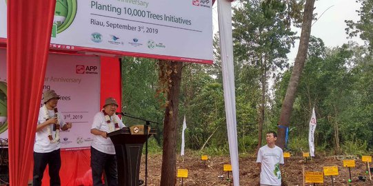 Jepang Ingatkan Pembangunan Pedalaman Ala Jokowi Jangan Korbankan Hutan