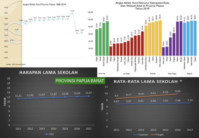 infografis papua