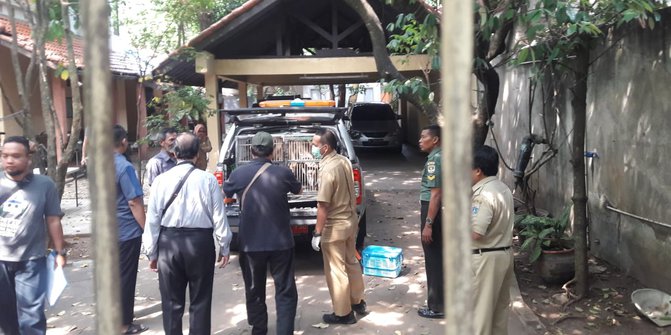 Tewaskan Art Anjing Milik Bima Aryo Diduga Salah Pola Asuh