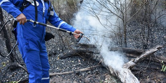 Asap Kebakaran Hutan Selimuti Palembang, Jarak Pandang 1,2 KM