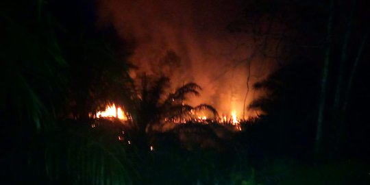 Kebakaran Lahan di Sepaku Penajam Paser Utara Meluas Jadi 5 Hektare