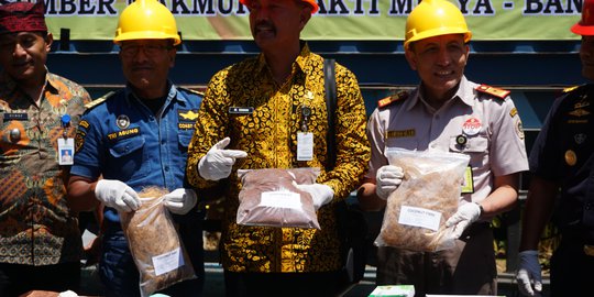 Ekspor Serabut Kelapa ke China Meningkat, 70 Persen Diambil dari Banyuwangi