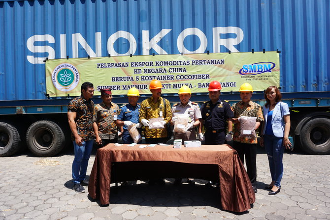 ekspor serabut kelapa ke china meningkat 70 persen diambil dari banyuwagi